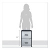 Mobile Filing Cabinet With Metal Siding And Top-Drawer Organizer Tray, 2 Letter File Drawers, Silver/Black, 19" X 15" X 23"