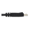 Displayport To Displayport Cable 4K With Latches, 10 Ft, Black