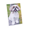 Clear L-Style Freestanding Frame, 5 X 7 Insert, 3/Pack