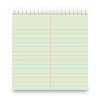 Steno Pads, Gregg Rule, Red Cover, 80 Green-Tint 6 X 9 Sheets, 6/Pack