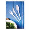 White Cpla Cutlery, General Purpose Knife, Plastic, White, 1,000/Carton
