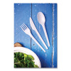 White Cpla Cutlery, General Purpose Spoon, Plastic, 1,000/Carton
