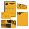 Color Paper, 24 Lb Bond Weight, 8.5 x 11, Galaxy Gold, 500 Sheets/Ream