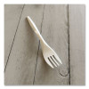 Mediumweight Polypropylene Cutlery, Fork, 5.51", Plastic, White, 1,000/Carton