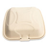 Bagasse Pfas-Free Food Containers, 9 x 9 x 3.19, Tan, Sugarcane, 100/Sleeve, 2 Sleeves/Carton