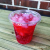 Clear Plastic Pet Cups, Squat, 9 Oz, 1,000/Carton