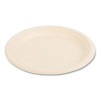Bagasse Pfas-Free Dinnerware, Plate, Sugarcane, 9" Dia, Tan, 500/Carton