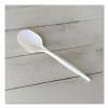 Mediumweight Polypropylene Cutlery, Soup Spoon, 4.86", Plastic, White, 1,000/Carton