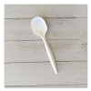Mediumweight Polypropylene Cutlery, Soup Spoon, 4.86", Plastic, White, 1,000/Carton