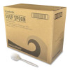 Mediumweight Polypropylene Cutlery, Soup Spoon, 4.86", Plastic, White, 1,000/Carton