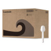 Mediumweight Polypropylene Cutlery, Tasting Spoon, White, 3,000/Carton