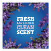 Cloroxpro Multi-Surface Cleaner Concentrated, Lavender Clean Scent, 80 Oz Bottle