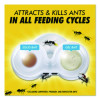Max 2-In-1 Ant Bait, 4/Pack, 8 Packs/Carton