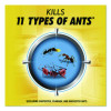 Max 2-In-1 Ant Bait, 4/Pack, 8 Packs/Carton