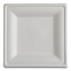 Vanguard Renewable And Compostable Sugarcane Plates, 10 x 10, White, 250/Carton