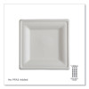 Vanguard Renewable And Compostable Sugarcane Plates, 10 x 10, White, 250/Carton