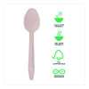 Wood Cutlery, General Purpose Spoon, Natural, 500/Carton