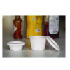Vanguard Sugarcane Portion Cup Lid, Fits 2 Oz Portion Cups, White, 2,500/Carton