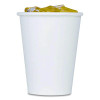 Double Poly Paper Cold Cups, 9 Oz, White, 1,000/Carton
