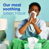 Plus Lotion Facial Tissue, 2-Ply, White, 124 Sheets/Box, 24 Boxes/Carton