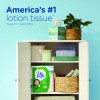 Plus Lotion Facial Tissue, 2-Ply, White, 124 Sheets/Box, 24 Boxes/Carton
