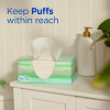 Plus Lotion Facial Tissue, 2-Ply, White, 124 Sheets/Box, 24 Boxes/Carton