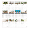 12-Month Wall Calendar, Minimalistic Artwork, 12 x 17, White/Multicolor Sheets, 12-Month (Jan To Dec): 2026
