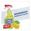 Multi-Surface Disinfectant Cleaner, Citrus Scent, 32 Oz Spray Bottle