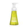 Foaming Hand Wash, Lemon Mint Scent, 10 Oz