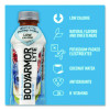 Lyte Sports Drink, Blueberry Pomegranate, 16 Oz Bottle, 12/Pack