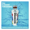 Lyte Sports Drink, Blueberry Pomegranate, 16 Oz Bottle, 12/Pack