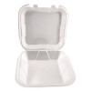 Foam Hinged Lid Containers, 9 x 9 x 3, White, Foam, 200/Carton