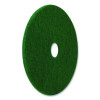 Scrubbing Pads, 12" Diameter, Green, 5/Carton