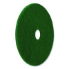 Scrubbing Pad, 16" Diameter, Green, 5/Carton
