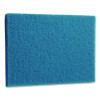 Cleaner Pad, 14" x 20", Blue, 5/Carton