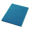 Cleaner Pad, 14 x 20, Blue, 5/Carton