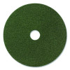 Black Diamond 3000 Grit Diamond Pad, 17" Diameter, Black And Green, 2/Carton