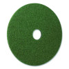 Black Diamond 3000 Grit Diamond Pad, 20" Diameter, Black And Green, 2/Carton