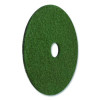 Black Diamond 3000 Grit Diamond Pad, 28" Diameter, Black/Green, 2/Carton