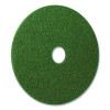 Black Diamond 3000 Grit Diamond Pad, 28" Diameter, Black And Green, 2/Carton