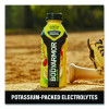 Superdrink Sports Drink, Tropical Punch, 16 Oz Bottle, 12/Pack