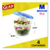 To Go Lunch Containers, 2 Compartments, 32 Oz, Plastic, 4/Pack