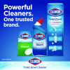 Disinfecting Toilet Bowl Cleaner With Bleach, Rain Clean Scent, 24 Oz Bottle, 2/Pack