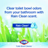 Disinfecting Toilet Bowl Cleaner With Bleach, Rain Clean Scent, 24 Oz Bottle, 2/Pack