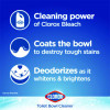 Disinfecting Toilet Bowl Cleaner With Bleach, Rain Clean Scent, 24 Oz Bottle, 2/Pack