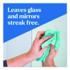 Clorox Pro Ecoclean Glass Cleaner, Unscented, 32 Oz Spray Bottle