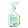 Clorox Pro Ecoclean Glass Cleaner, Unscented, 32 Oz Spray Bottle