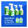 Clorox Pro Ecoclean Glass Cleaner, Unscented, 32 Oz Spray Bottle