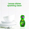 Dishwashing Liquid, Fresh Scent, 8 Oz. Bottle, 16/Carton