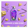 Antibacterial Hand Soap, Lavender And Shea Butter Scent, 11.25 Oz
